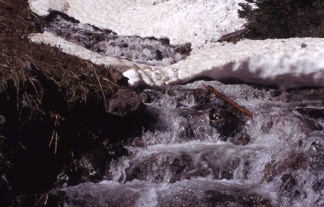 Stream melting through winter ice field Picture