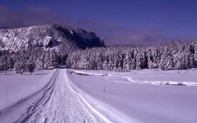 National Park Mountain in the winter Picture