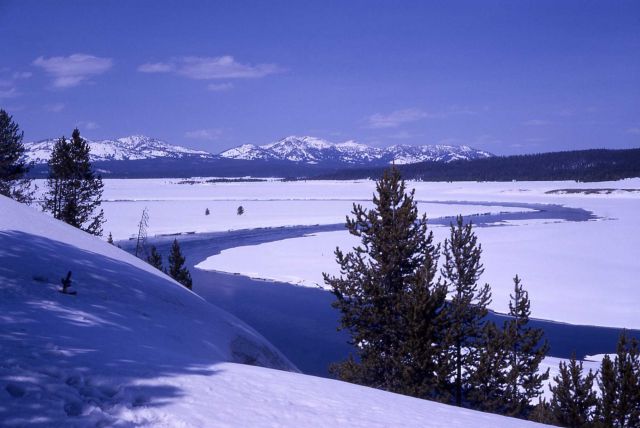 Hayden Valley in the winter Picture