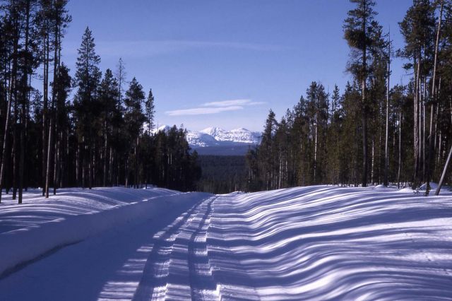 Gallatin Range as seen from Norris Canyon road in the winter Picture