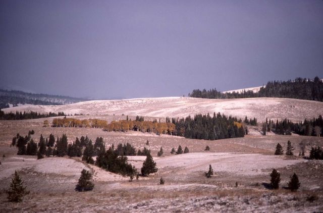 Winter snow in Gardner hole Picture