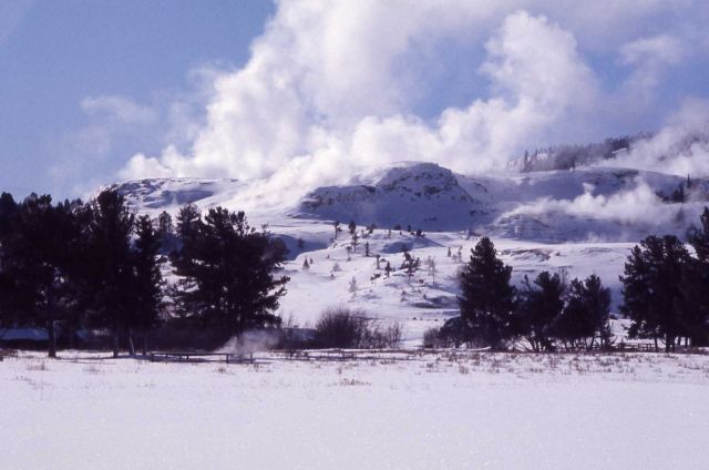 Mammoth Terraces in the winter Picture