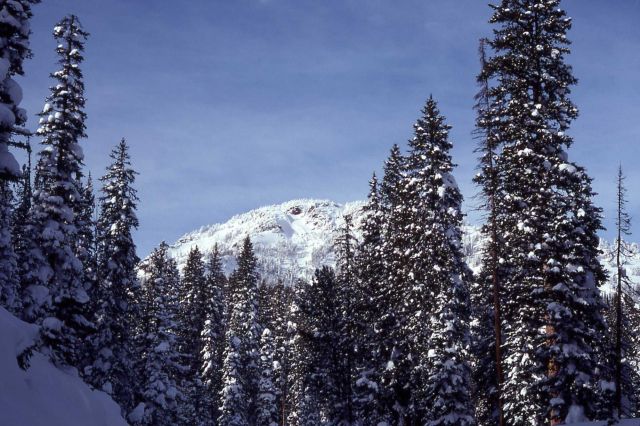 Mount Washburn in the winter Picture