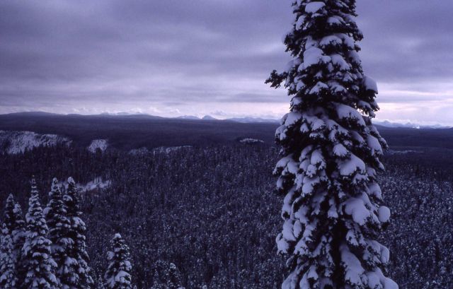Caldera overlook looking east in the winter Picture