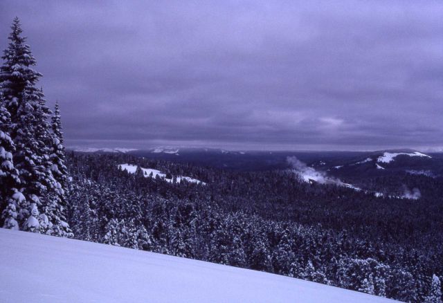 Washburn hot springs in winter as seen from the Caldera overlook Picture