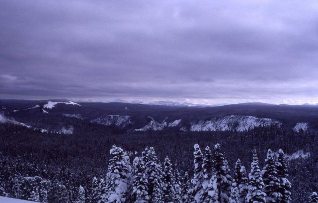 Washburn hot springs in winter as seen from the Caldera overlook Picture