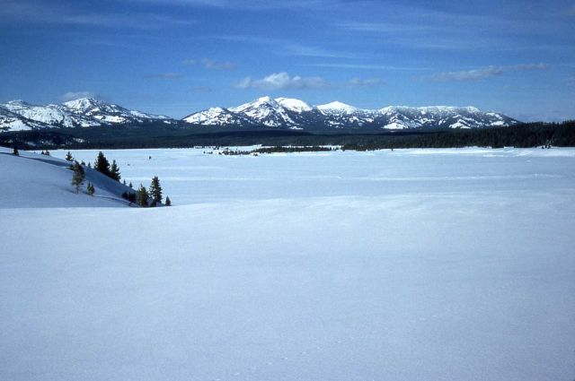 Hayden Valley in winter as seen from Sulphur Mountain area Picture