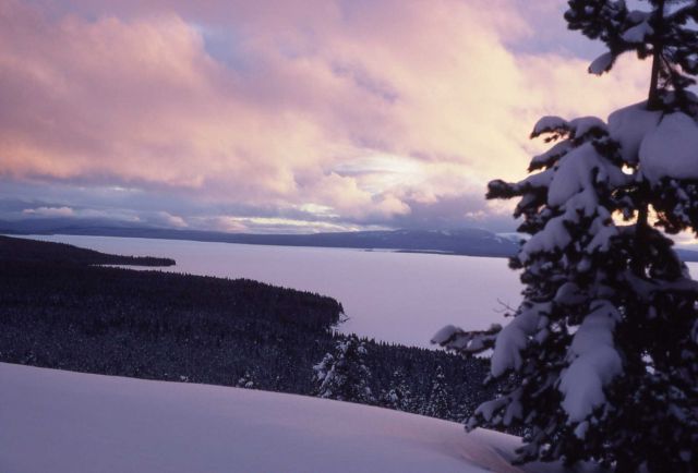 Winter view as seen from Lake Butte overlook Picture