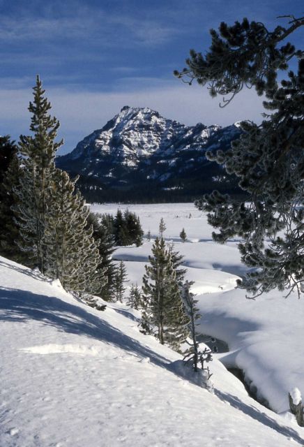 Soda Butte Creek in the winter with Abiathar Peak in background Picture