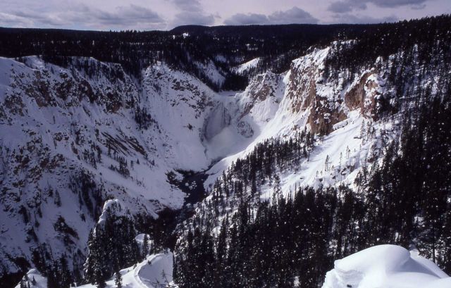 Grand Canyon & Lower Falls covered with snow in the winter Picture
