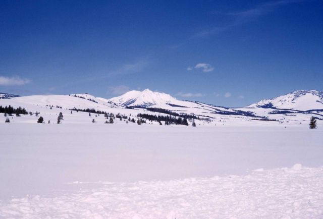 Swan Lake Flats & Electric Peak in the winter Picture