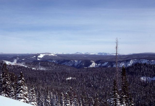 Caldera view in the winter Picture