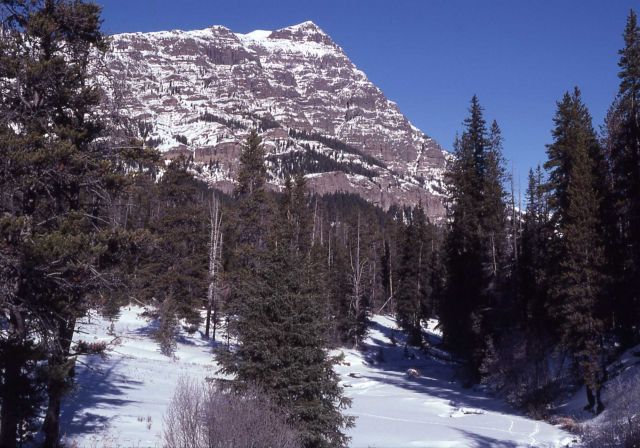 Baronette Peak in the winter Picture