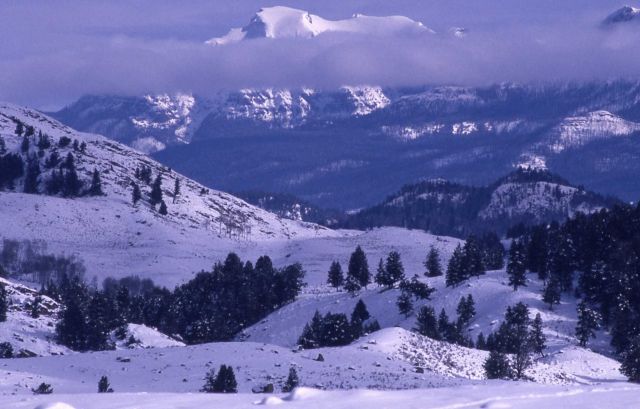 Cutoff Mountain in winter near Junction Butte Picture