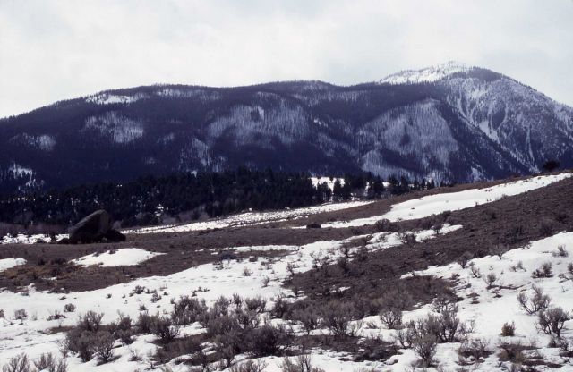 Bunsen Peak in winter Picture