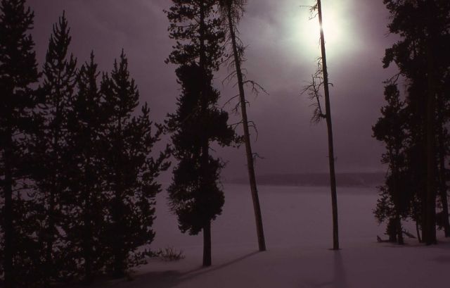 West Thumb in winter Picture