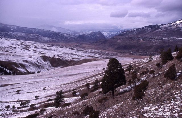 McMinn bench in winter with Gardiner & Devil's Slide in the background Picture