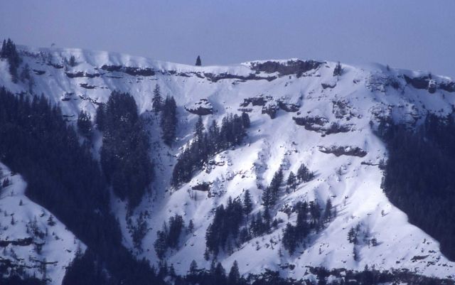 Specimen Ridge in the winter Picture