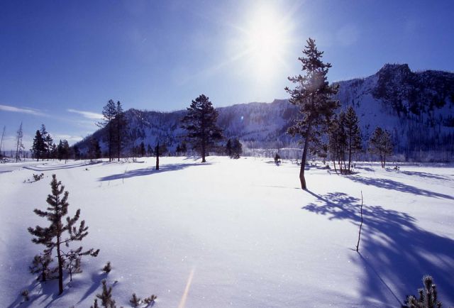 Winter along the Madison River Picture