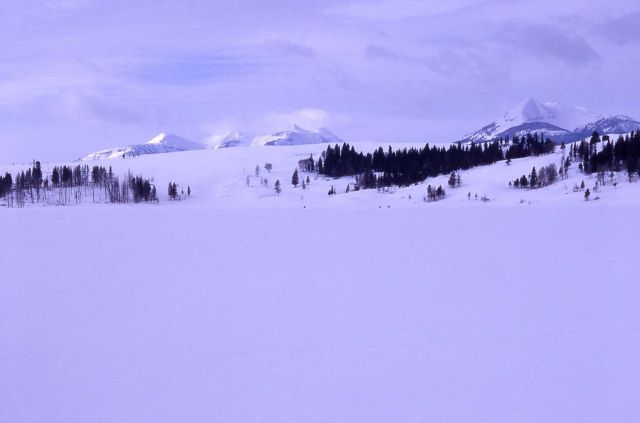 Gallatin Mountains & Swan Lake Flats in the winter Picture