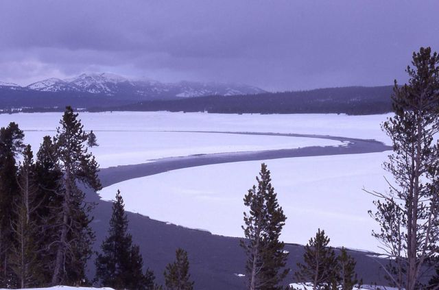 Yellowstone River & Hayden Valley in the winter Picture