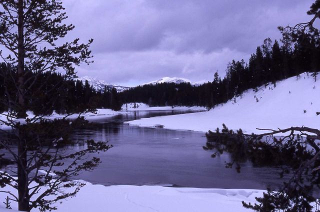Yellowstone River & Washburn range in the winter Picture