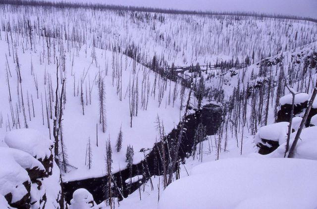Lewis River in the winter Picture