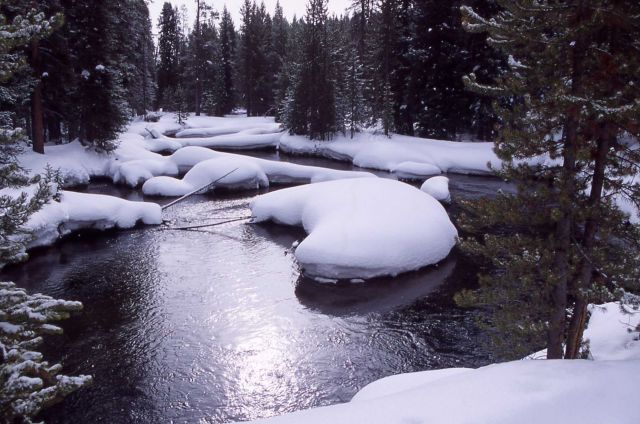 Firehole River in the winter Picture