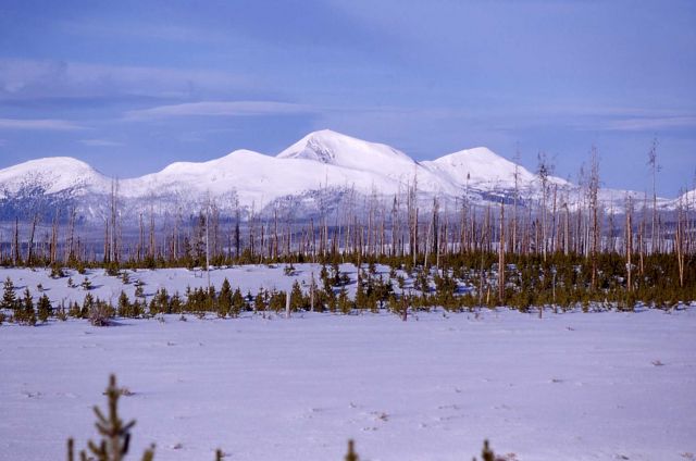 Mount Holmes & the Gallatin Range in the winter Picture