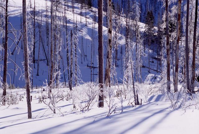 Winter view as seen from Calfee Creek cabin Picture