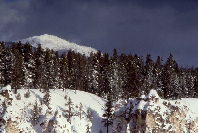 Mt Washburn & the Grand Canyon rim in the winter Picture