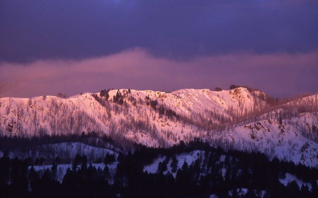 Sepulcher Mountain in the winter Picture