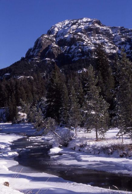Abiather Peak & Soda Butte Creek in the winter Picture
