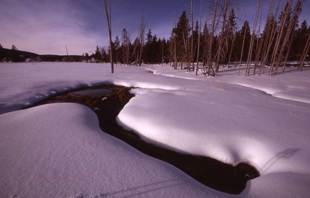 Winter in the Upper Geyser Basin Picture