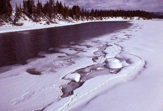 Yellowstone River at Fishing Bridge in winter Picture
