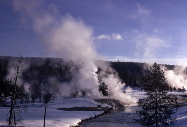 Upper Geyser Basin in winter Picture