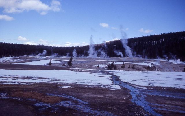 Upper Geyser Basin in winter Picture