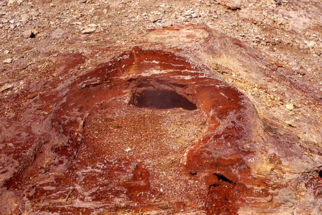 Small steam vent - Ochre Springs - Mud Volcano Area Picture
