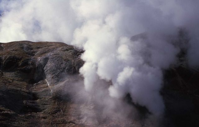 Near Valentine Geyser - Norris Geyser Basin Picture