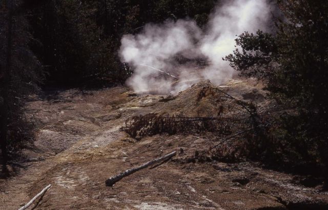 Arch Steam Vent Picture