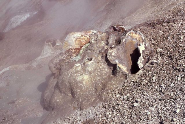 Black Growler Steam Vent (inactive) Picture