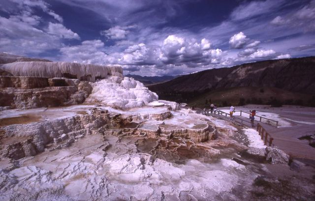 Minerva Terrace - Mammoth Hot Springs Picture