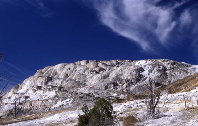 Mammoth Terraces - Mammoth Hot Springs Picture