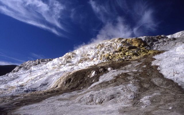 Mammoth Terraces - Mammoth Hot Springs Picture