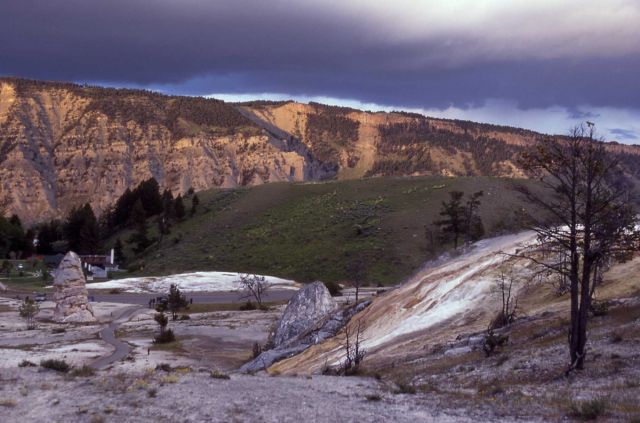 Mammoth Hot Springs Picture