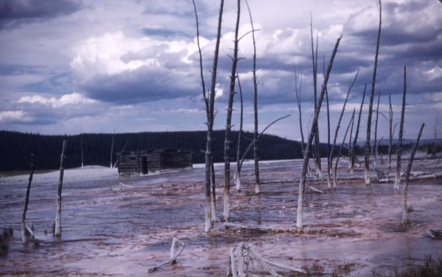 Queen's Laundry and cabin - Midway & Lower Geyser Basin Picture