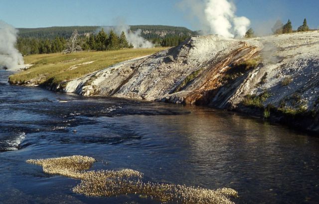 Midway Geyser Basin Picture