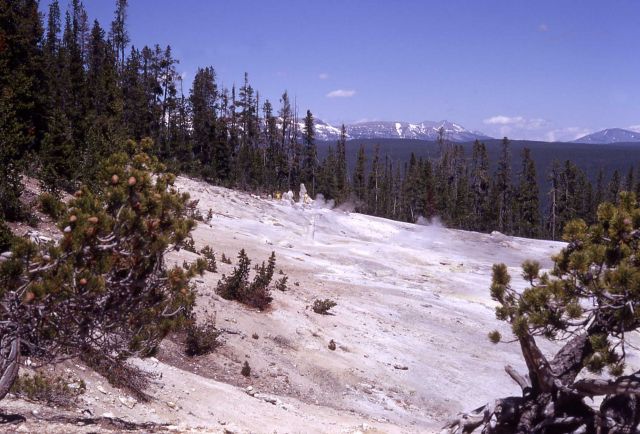 Monument Geyser Basin Picture