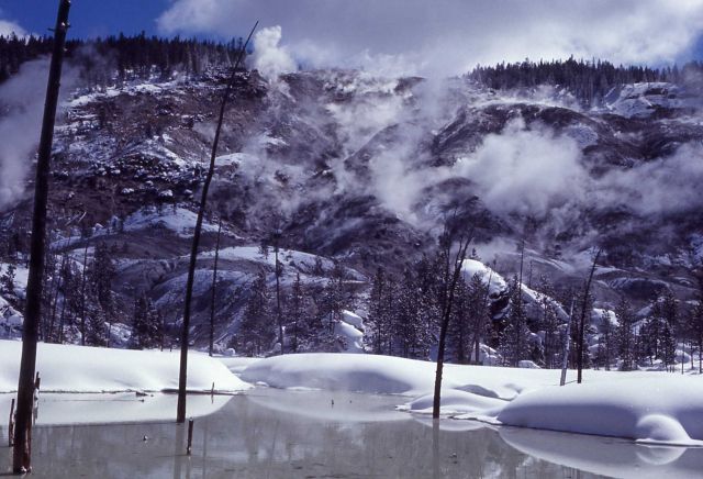Roaring Mountain - Norris Geyser Basin Picture