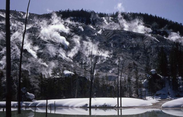 Roaring Mountain - Norris Geyser Basin Picture